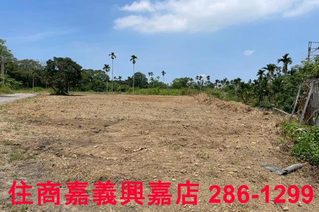 嘉義農地-8