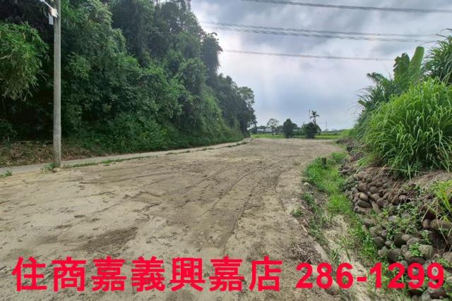 嘉義農地-5