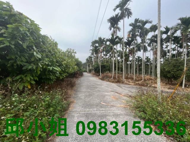 嘉義中埔農地-1