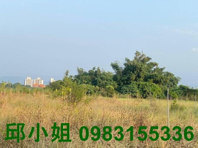 嘉義大林農地-0