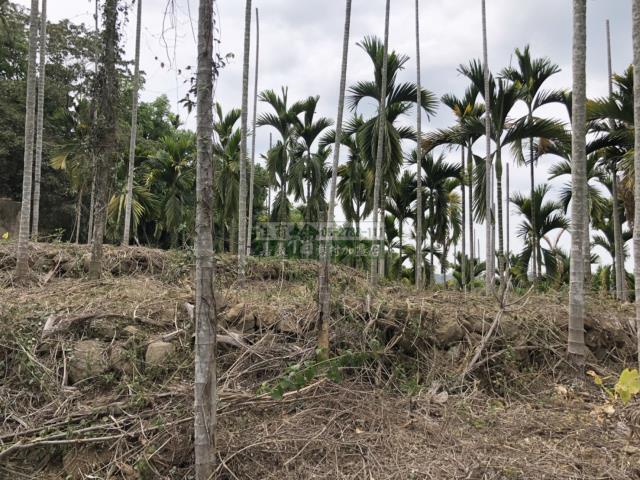 嘉義中埔農地-9