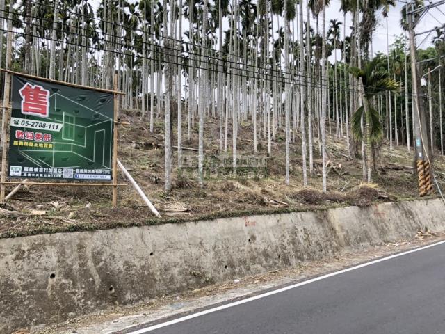 嘉義中埔農地-0
