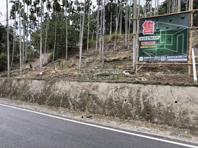 嘉義中埔農地-1