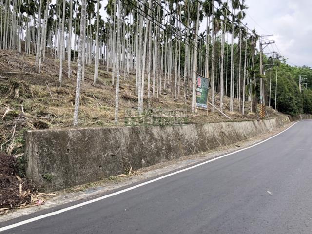 嘉義中埔農地-3