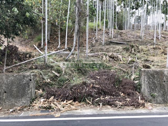 嘉義中埔農地-4