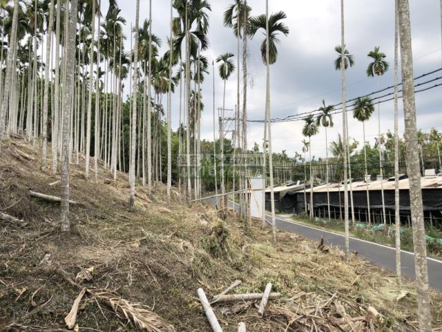 嘉義中埔農地-6