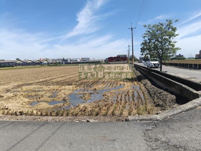 嘉義新港農地-11