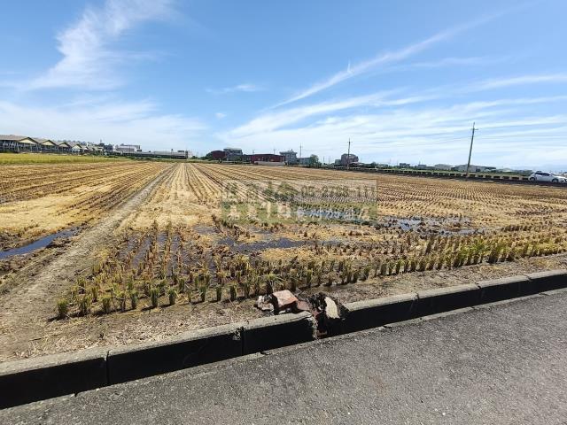 嘉義新港農地-12