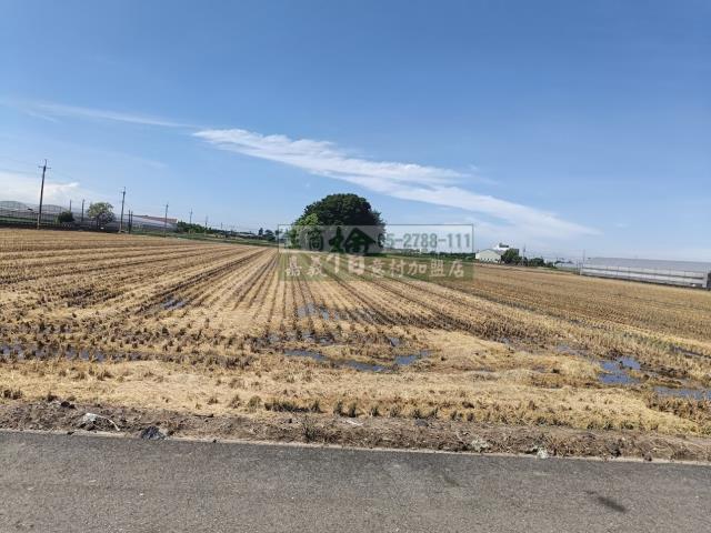 嘉義新港農地-0