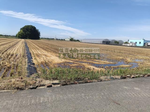 嘉義新港農地-1