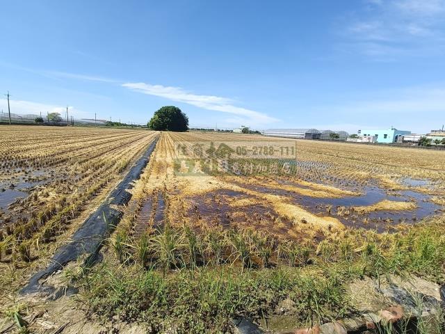 嘉義新港農地-2