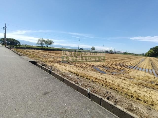 嘉義新港農地-3