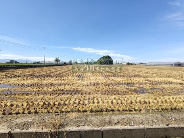 嘉義新港農地-4