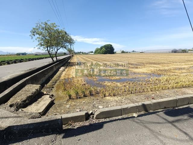 嘉義新港農地-5