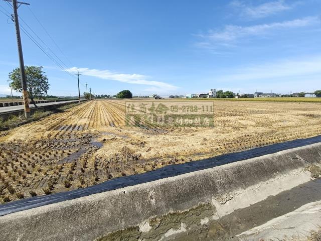 嘉義新港農地-7