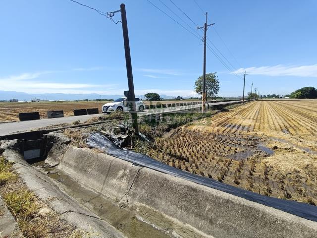嘉義新港農地-8