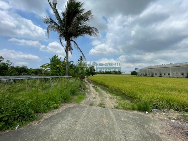嘉義西區農地-1