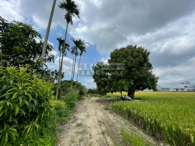 嘉義西區農地-2