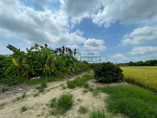 嘉義西區農地-3