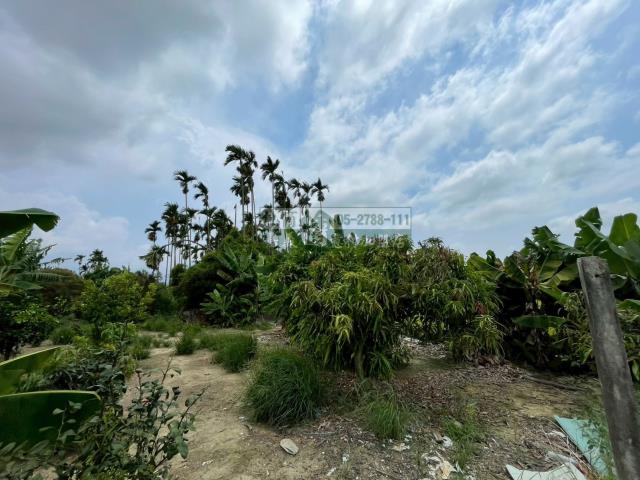 嘉義西區農地-4