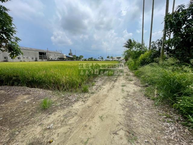 嘉義西區農地-5