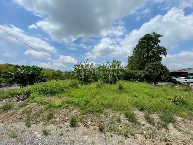 嘉義西區農地-2