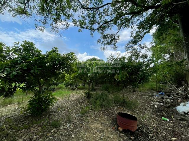 嘉義西區農地-4