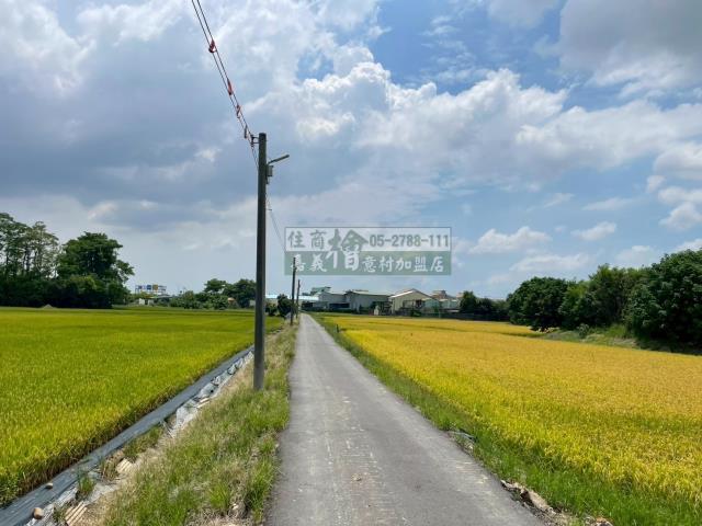 嘉義西區農地-6