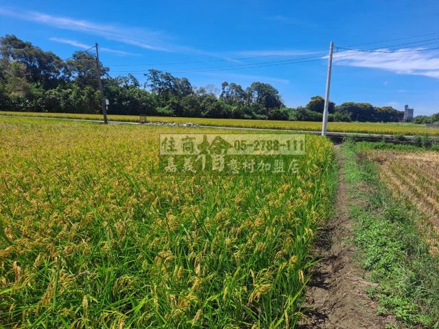 嘉義民雄農地-0