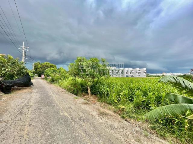 嘉義西區農地-0