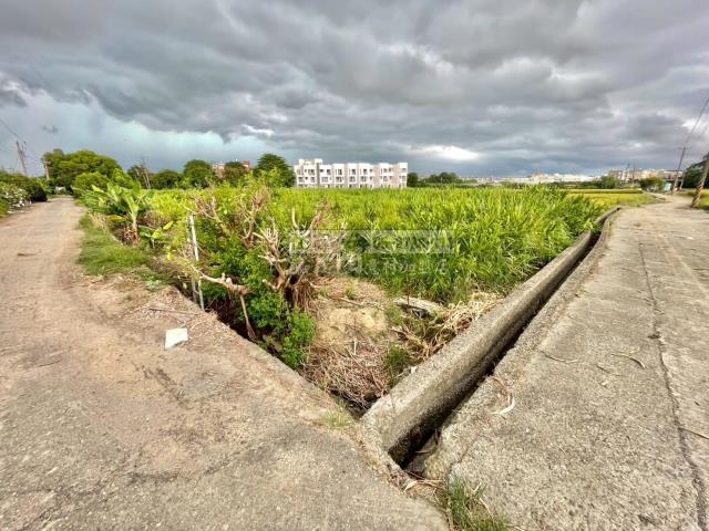 嘉義西區農地-1