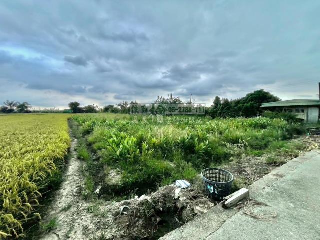 嘉義西區農地-2