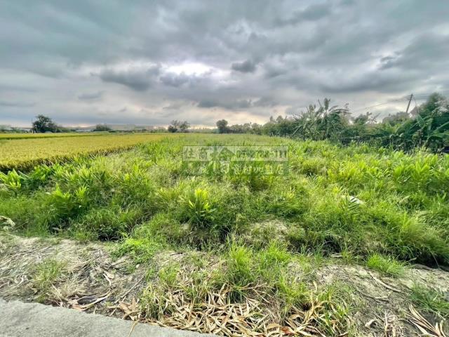 嘉義西區農地-3