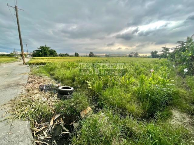 嘉義西區農地-4