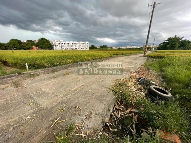 嘉義西區農地-5