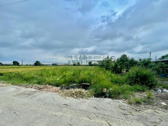 嘉義西區農地-8