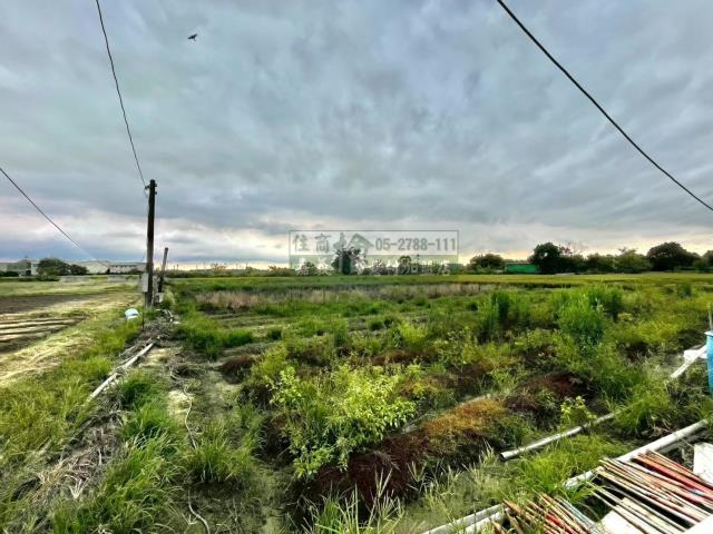 西區農地-5
