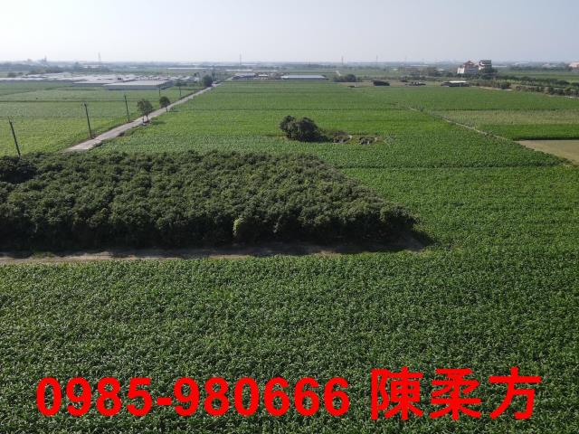 嘉義義竹農地-11