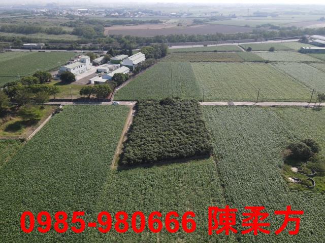 嘉義義竹農地-1