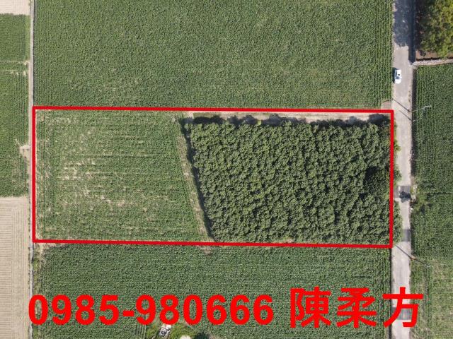 嘉義義竹農地-2