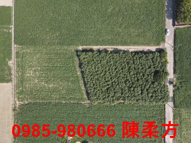 嘉義義竹農地-5