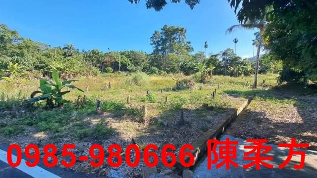 嘉義中埔農地-3