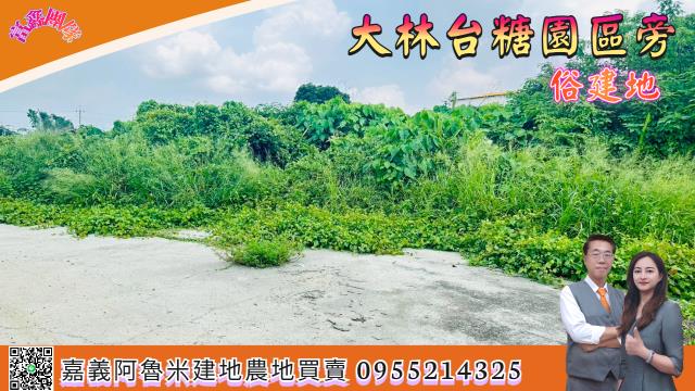 嘉義大林建地-0