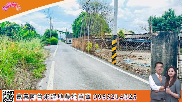 嘉義大林建地-1