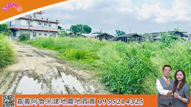 嘉義大林建地-4