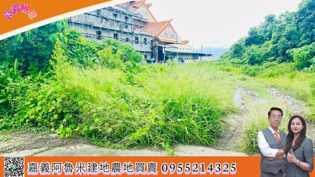 嘉義大林建地-5