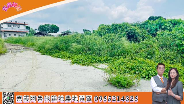 嘉義大林建地-6