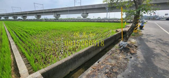 嘉義太保農地-0