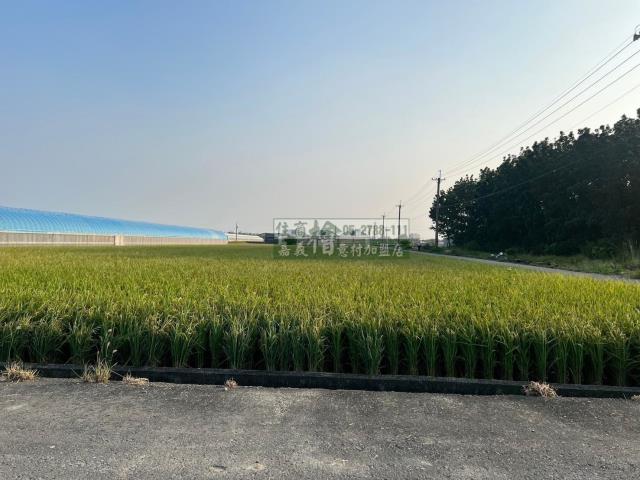 嘉義民雄農地-9