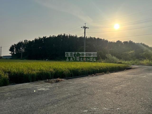 嘉義民雄農地-0